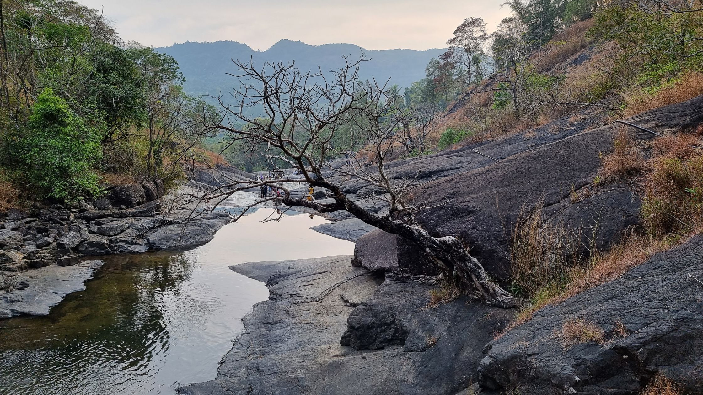 Calicut kerala