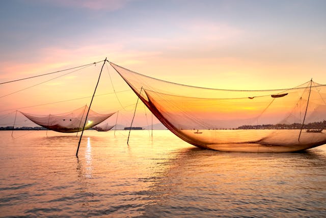 kochi